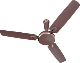 Bajaj Sintelle EE 1200 mm 3 Blade Ceiling Fan