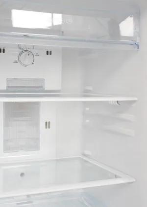 LG GL-B252VMGY 240 L Double Door Refrigerator