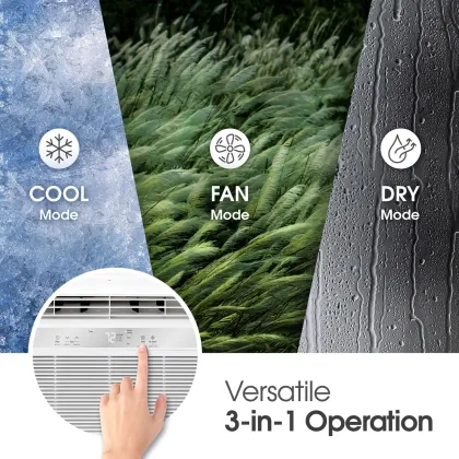 LG LW6024R 6000 BTU 115V Window AC