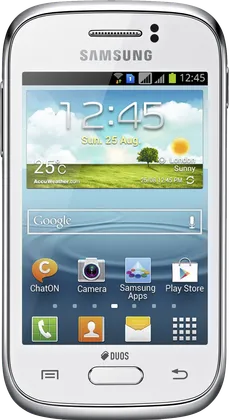 Samsung Galaxy Young S6310