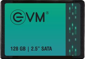 EVM SATA 128 GB Internal Solid State Drive
