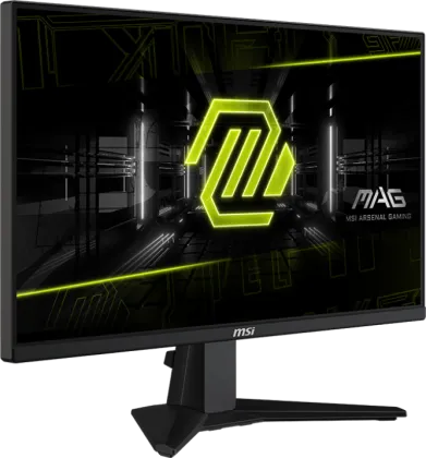 MSI MAG 255F E20 24.5 Inch Full HD Gaming Monitor