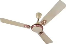 Indo durby 1200 mm 3 Blade Ceiling Fan