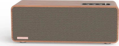 ALPSS AUDIO MRC11 PRO 80W Bluetooth Speaker