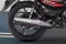 Honda Shine 100