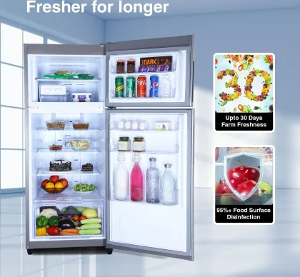 Godrej RF EON 253C RI 238 L 3 Star Double Door Refrigerator