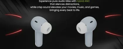 ACwO DwOTS 333 True Wireless Earbuds