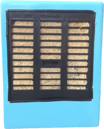 Maharani Whiteline Regular 38 L Desert Air Cooler