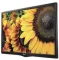 LG 32LF505A 32-inch HD Ready LED TV