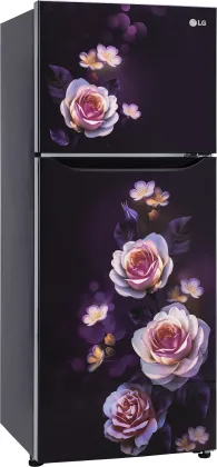 LG GL-N292DPBY 242 L 2 Star Double Door Refrigerator