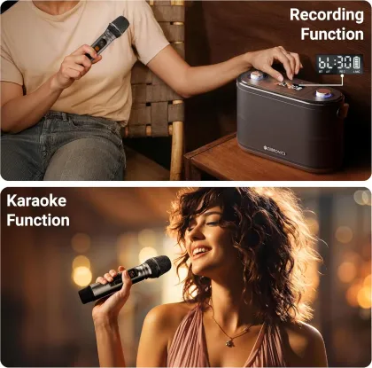 Zebronics Protone One 120W Bluetooth Speaker