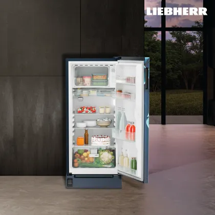 Liebherr DFPldC 1921 191 L 3 Star Single Door Refrigerator