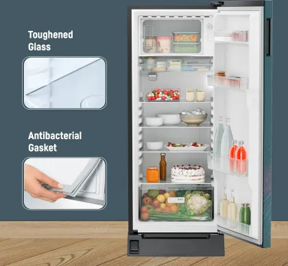 Liebherr ‎DFPtsE 2231 222 L 5 Star Single Door Refrigerator