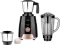 Borosil Silverline RG 600W Mixer Grinder