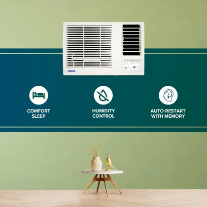 Blue Star WFD309L 0.8 ton 3 Star 2024 Window AC
