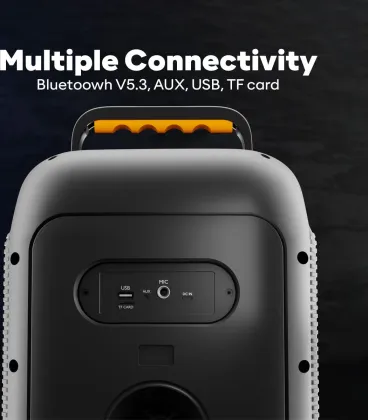 GoVo GoLoud 480 80W Bluetooth Speaker