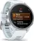 Garmin Forerunner 170 Smartwatch