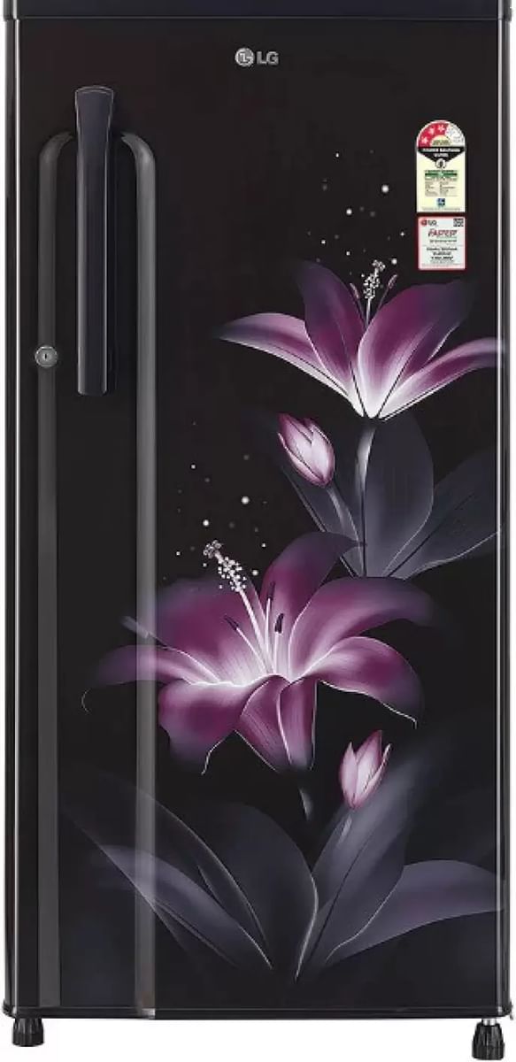 lg fridge 454l