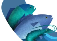 Get Flat 25% OFF on Seer Fish Specials