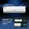 Carrier CAI18CL5R36W0 1.5 Ton 5 Star 2026 Inverter Split AC (XCEL LUMO Gxi Wi-Fi)