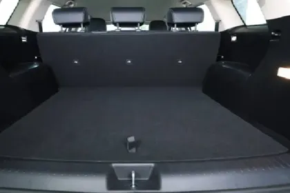 BYD E6