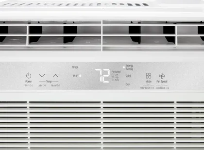 LG LW6024RSMX 6000 BTU 115V Window AC