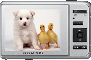 Olympus T-110 Point & Shoot