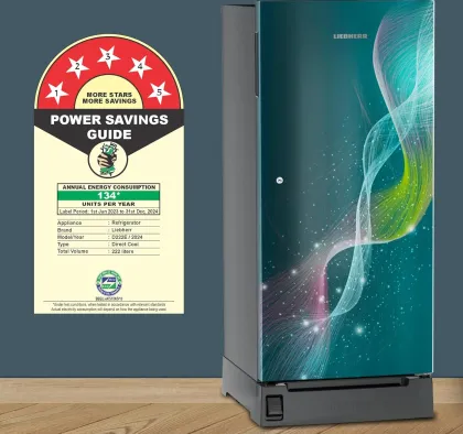 Liebherr ‎DFPtsE 2231 222 L 5 Star Single Door Refrigerator