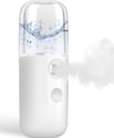 GIVERARE Nano Facial Steamer, Handy Mini Mister, USB Rechargeable Mist Sprayer, 30ml Visual Water Tank