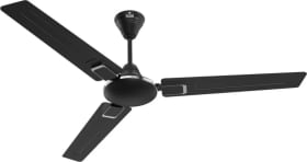Polycab Maven 1200mm 3 Blades Ceiling Fan
