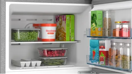 Bosch CTN29S21VI 290 L 4 Star Double Door Refrigerator