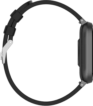 Fire Boltt Ninja 2 Smartwatch