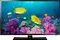 Samsung 46F5500 116.84cm (46) LED TV (Full HD, Smart)