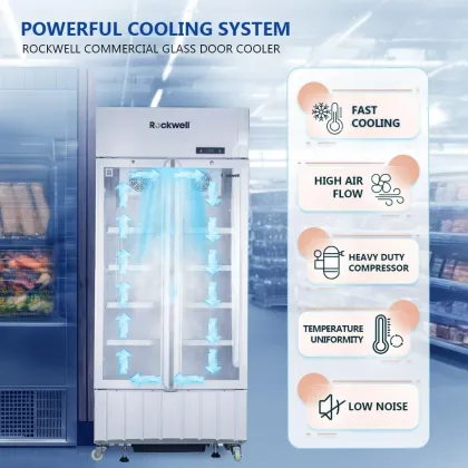 Rockwell RVC600A 460 L Double Glass Door Visi Cooler