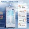 Rockwell RVC600A 460 L Double Glass Door Visi Cooler