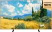 TCL NXTVISION A400 Pro 55 inch Ultra HD 4K Smart QD-Mini LED TV (55A400 Pro)