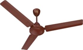 Polycab Zoomer 600 mm 3 Blade Ceiling Fan