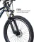 Neelam N.E 2.9 Single Speed 29T 10.4Ah Electric Cycle