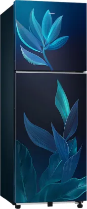 Samsung RT40H28U2PB 236 L 2 Star Double Door Refrigerator