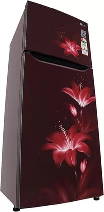 LG GL-N292BRGY 260 L 2 Star Double Door Refrigerator