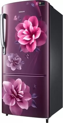 Samsung RR20R272ZCR 192 L  3 Star Single Door Refrigerator