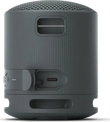 Sony SRS-XB100 Portable Bluetooth Speaker