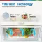 Bosch CTN27S21EI 243 L 1 Star Double Door Refrigerator