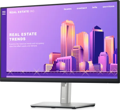Dell P2422H 24 inch Full HD Monitor
