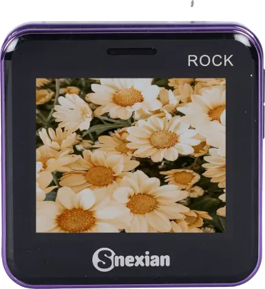 Snexian Rock Slider
