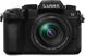 Panasonic Lumix DC-G95M Mirrorless Camera ( 12-60mm ASPH Lens)
