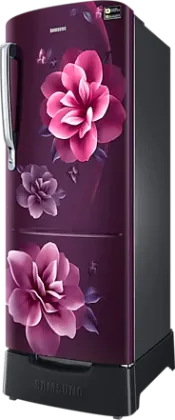 Samsung RR24C2823CR 223 L 3 Star Single Door Refrigerator