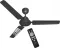 Impex E-SAVE R 1200 mm 3 Blade BLDC Ceiling Fan