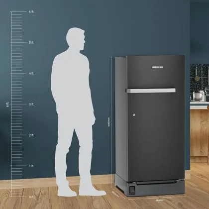 Liebherr ‎‎‎‎DNBbsC 2211 222 L 3 Star Single Door Refrigerator