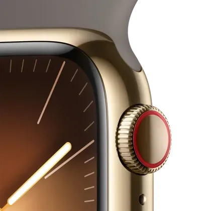 Apple Watch Series 9 41mm Stainless Steel (GPS + Cellular)